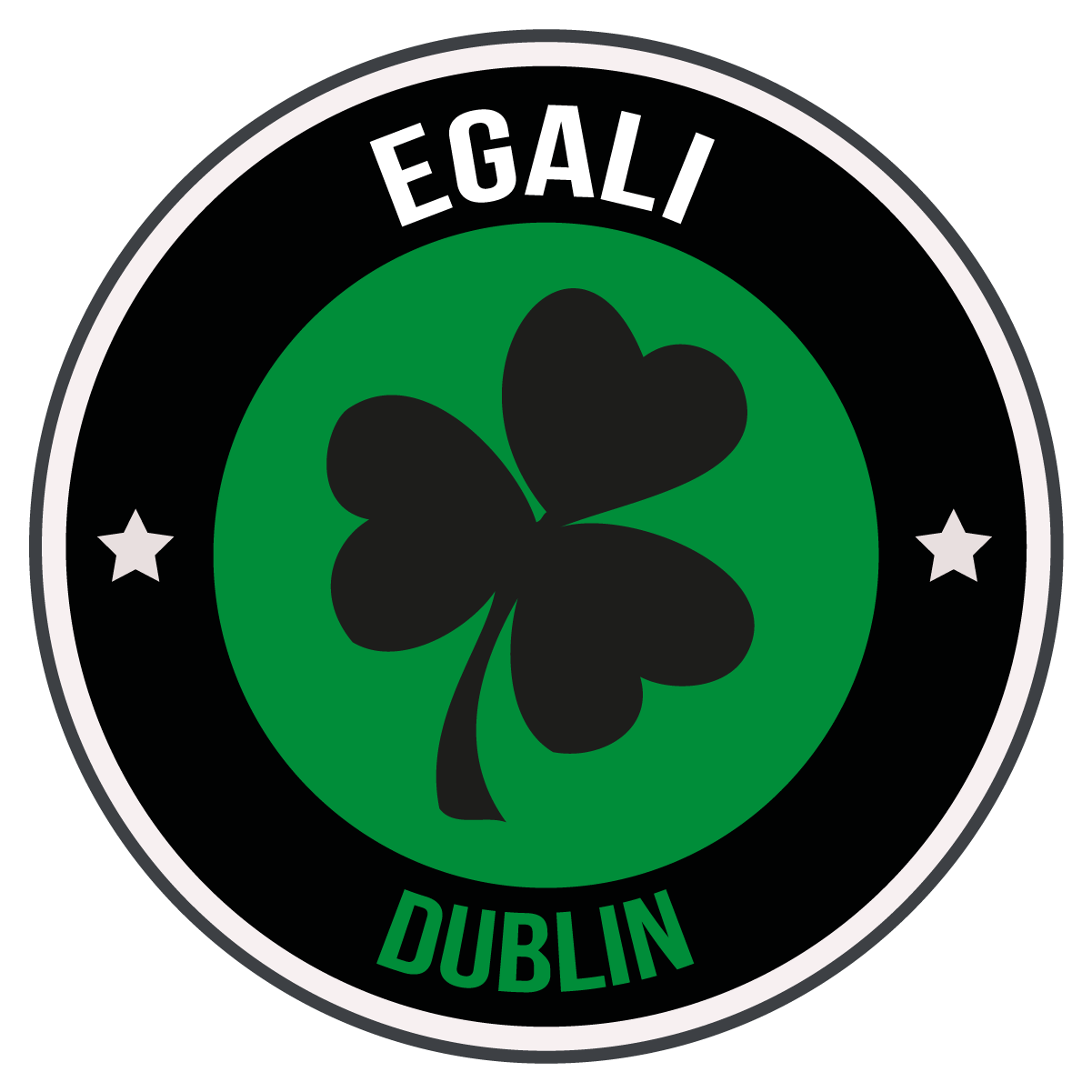 Intercambio en Dublín