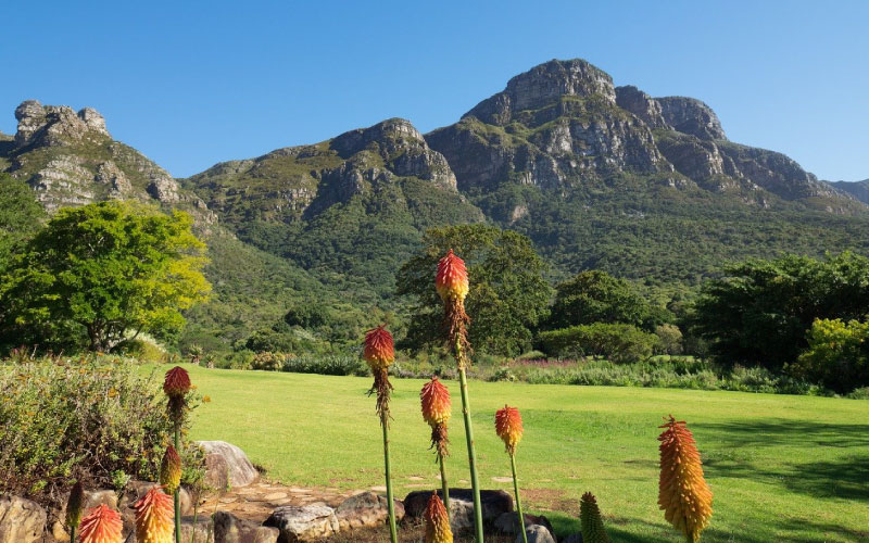 o que fazer na cidade do cabo