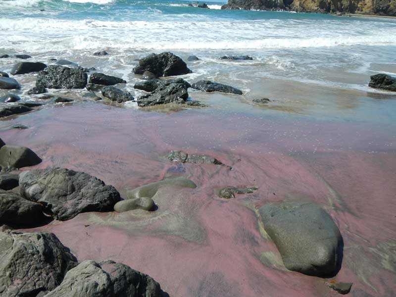 egali-intercambio-as-praias-mais-estranhas-do-mundo-parte-2-pfeiffer-purple-sand-beach