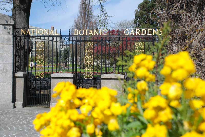 egali-intercambio-dublin-passeios-free-national-botanic-gardens