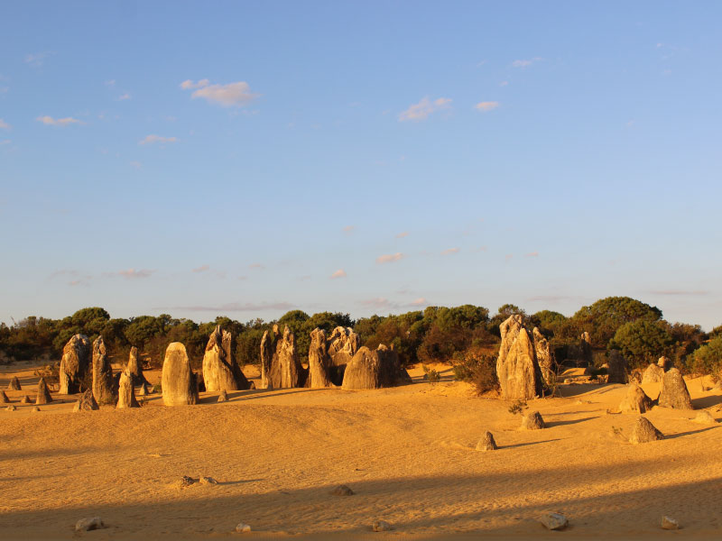 intercâmbio em perth - pinnacles desert