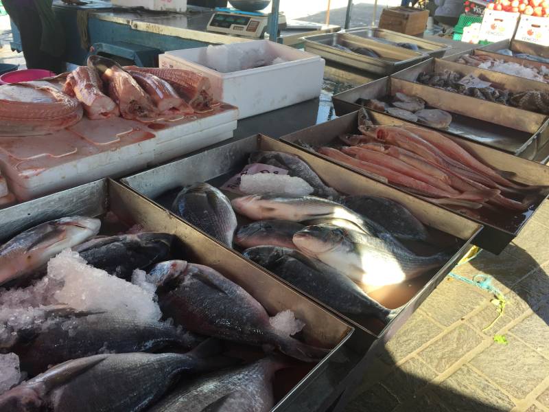 Venda de peixes em Malta, vila de Marsaxlokk - intercâmbio em malta