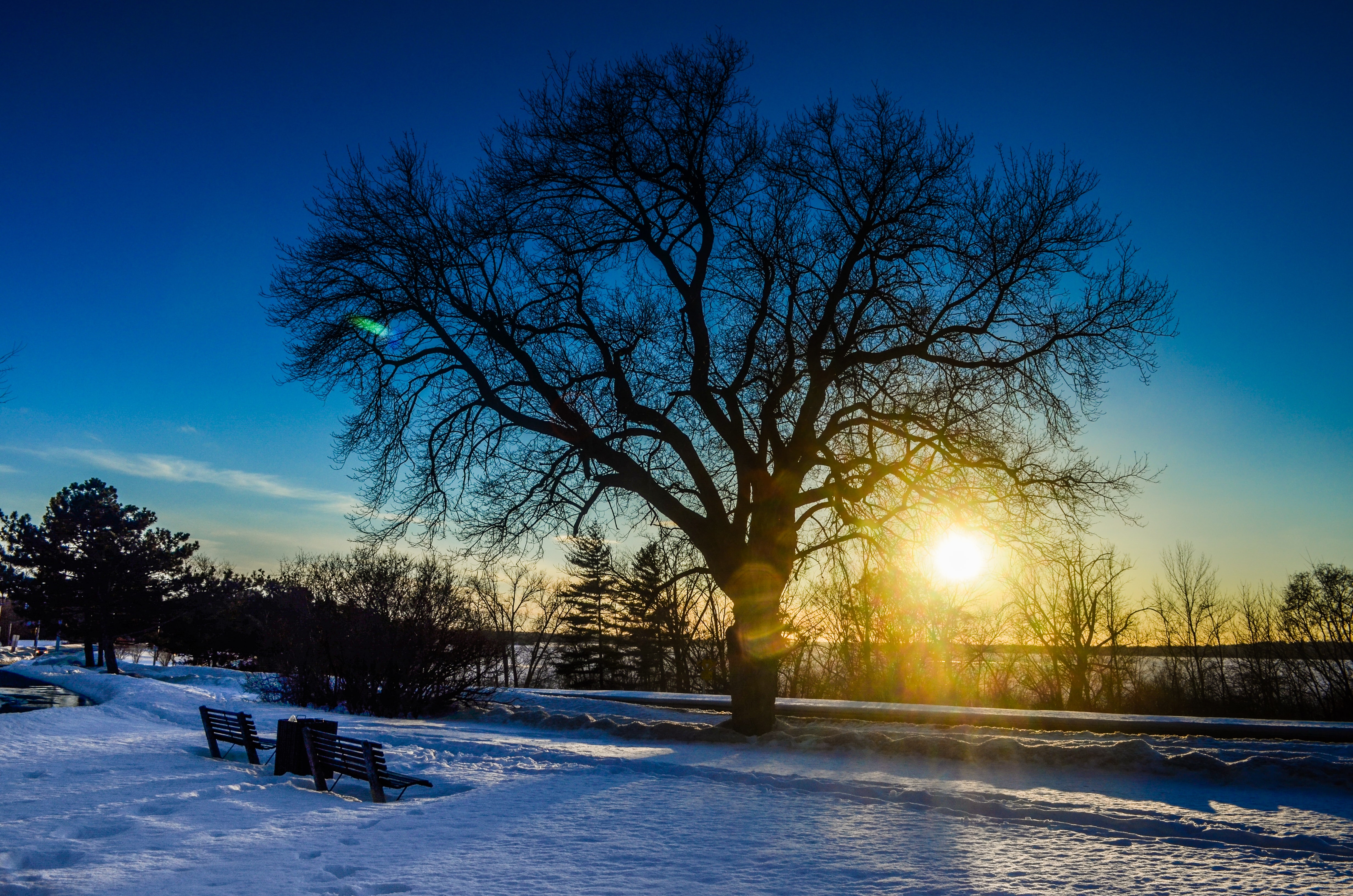 horas de trabalho no Canadá