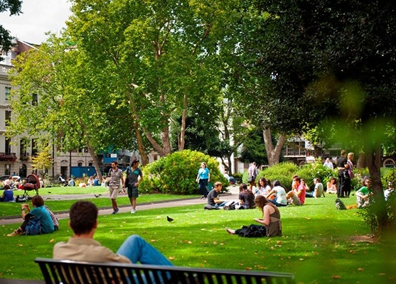 Study and travel londres